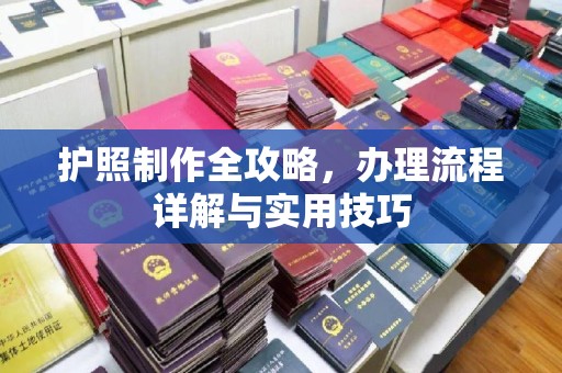 白云护照制作全攻略，办理流程详解与实用技巧