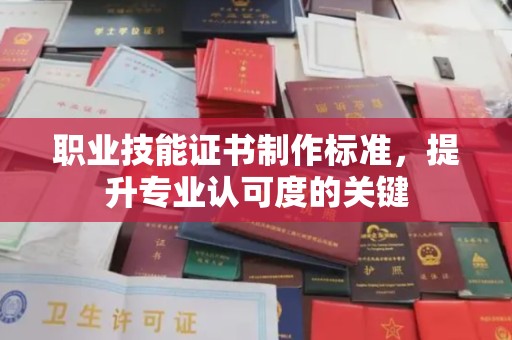 白云职业技能证书制作标准，提升专业认可度的关键