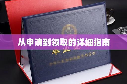 白云从申请到领取的详细指南