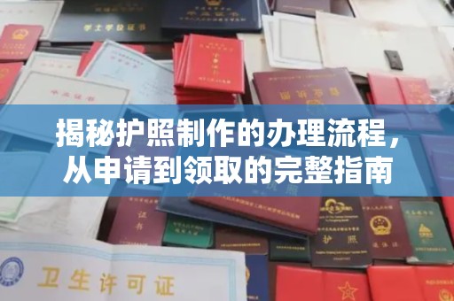 白云揭秘护照制作的办理流程，从申请到领取的完整指南