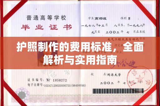 白云护照制作的费用标准，全面解析与实用指南