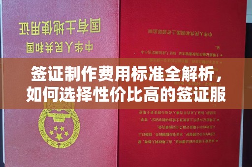 白云签证制作费用标准全解析，如何选择性价比高的签证服务？